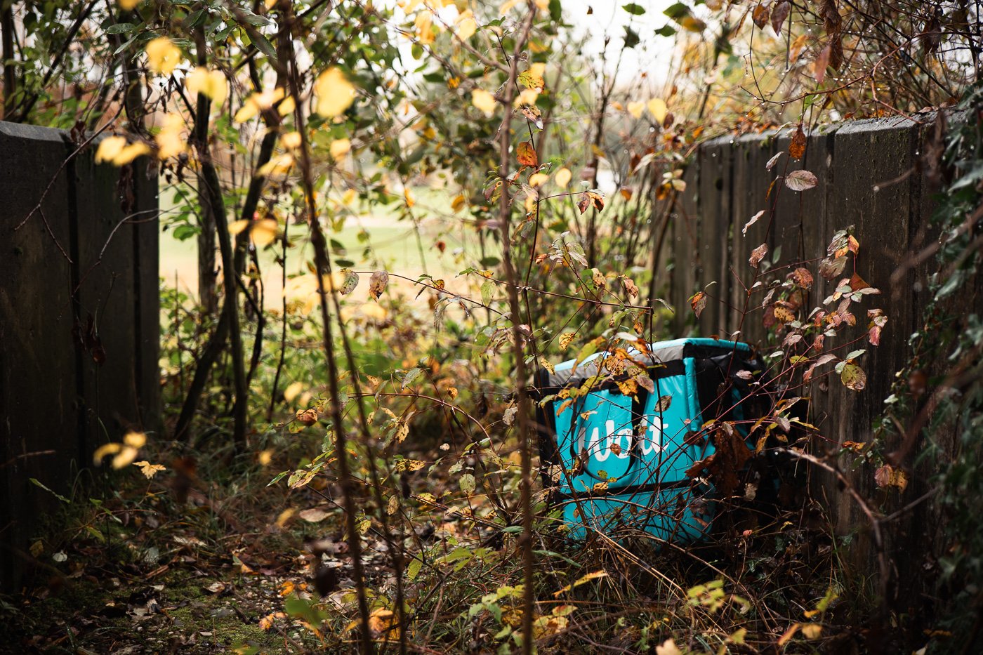 A bright blue Wolt food delivery bag rests on an overgrown path, nestled against a weathered fence and surrounded by yellow autumn leaves.