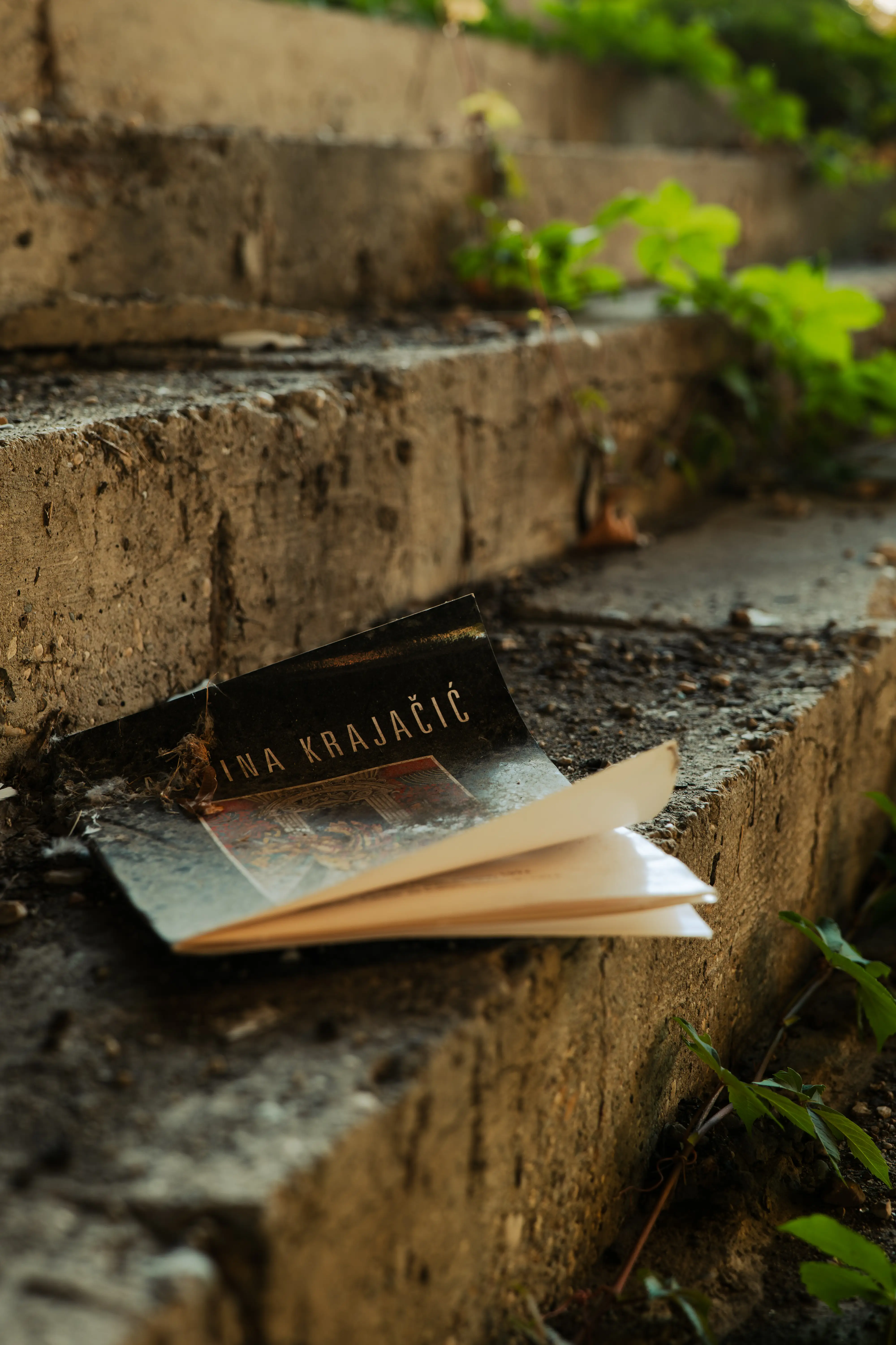 An abandoned magazine on street stairs.